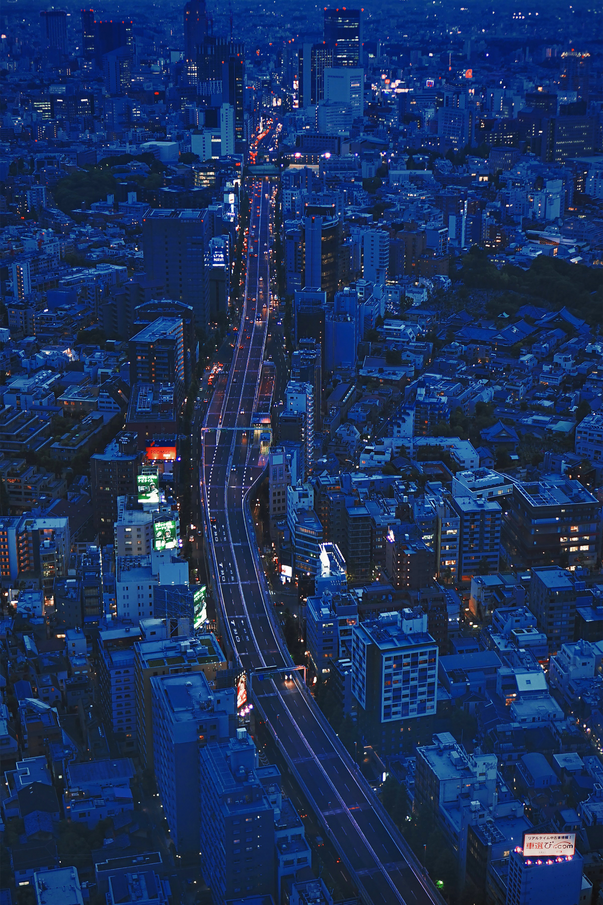 Blue Nights City Lights Poster