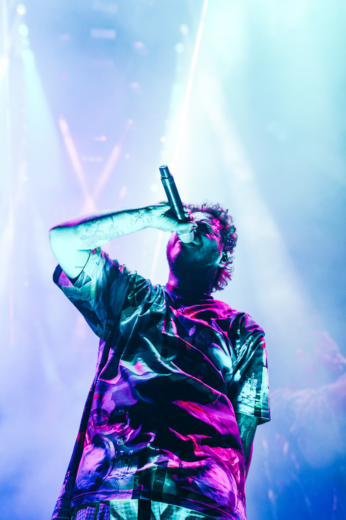 Post Malone 'Purple&Blue' Poster