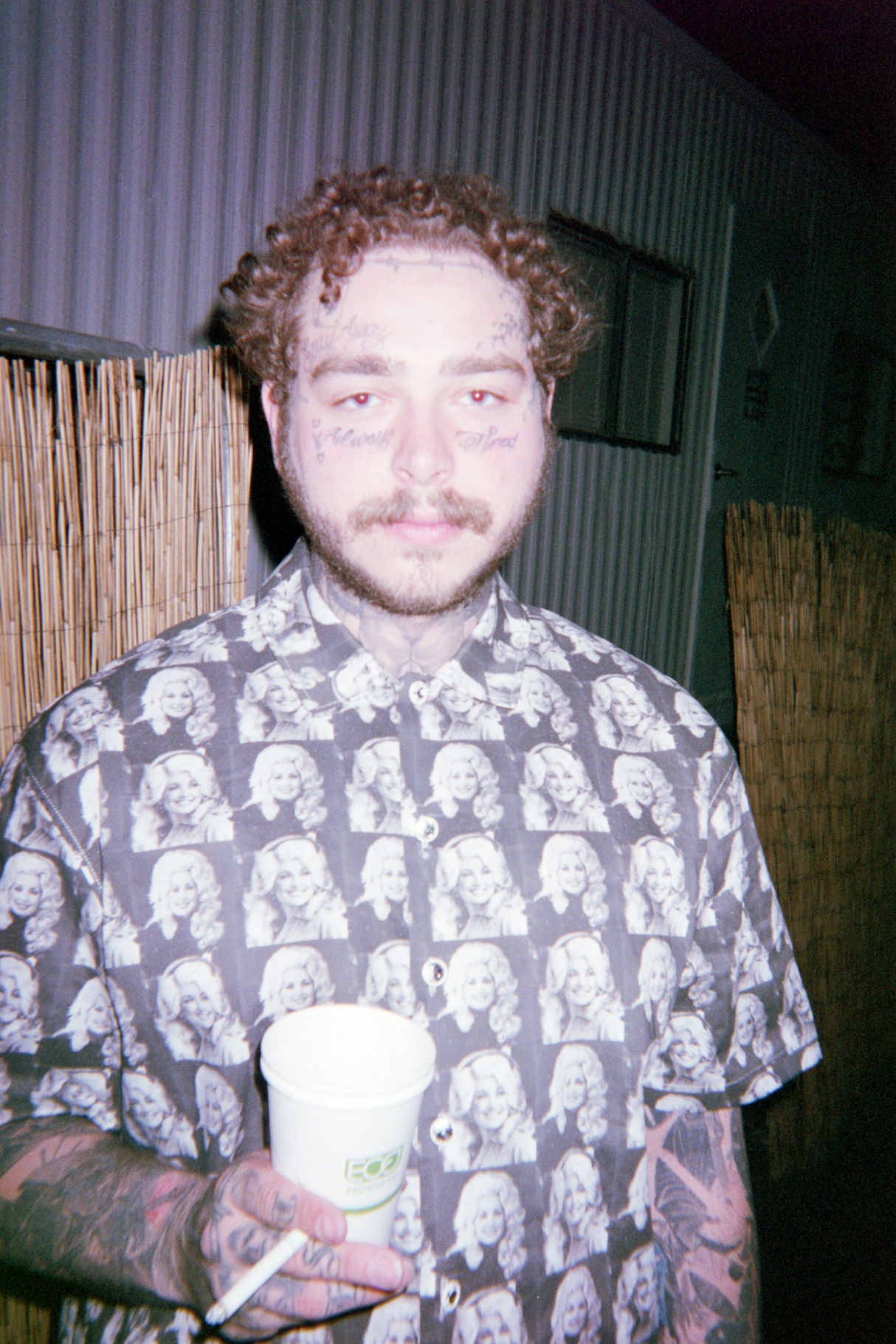 Post Malone 'Flash' Poster