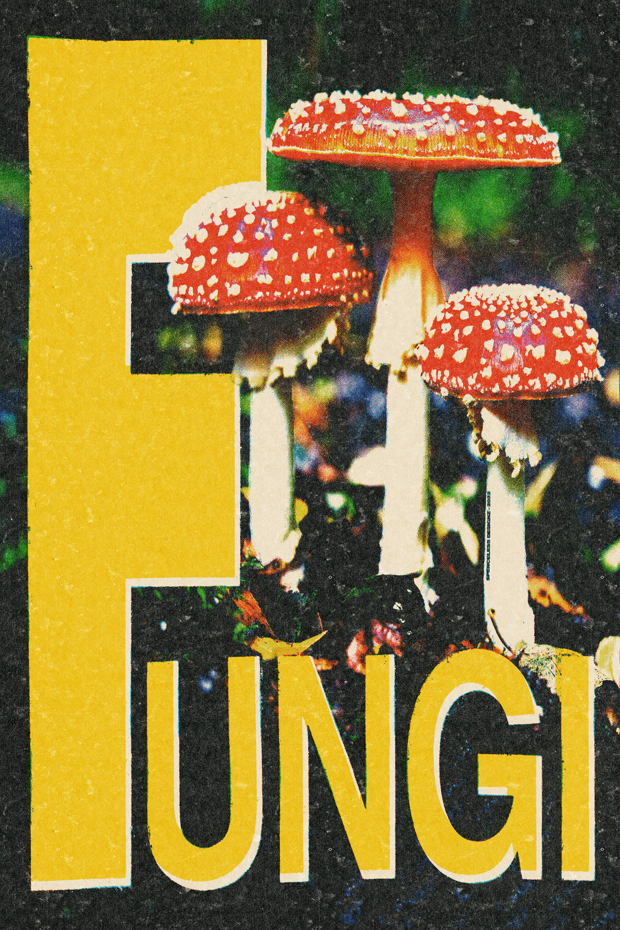 Fungi Poster