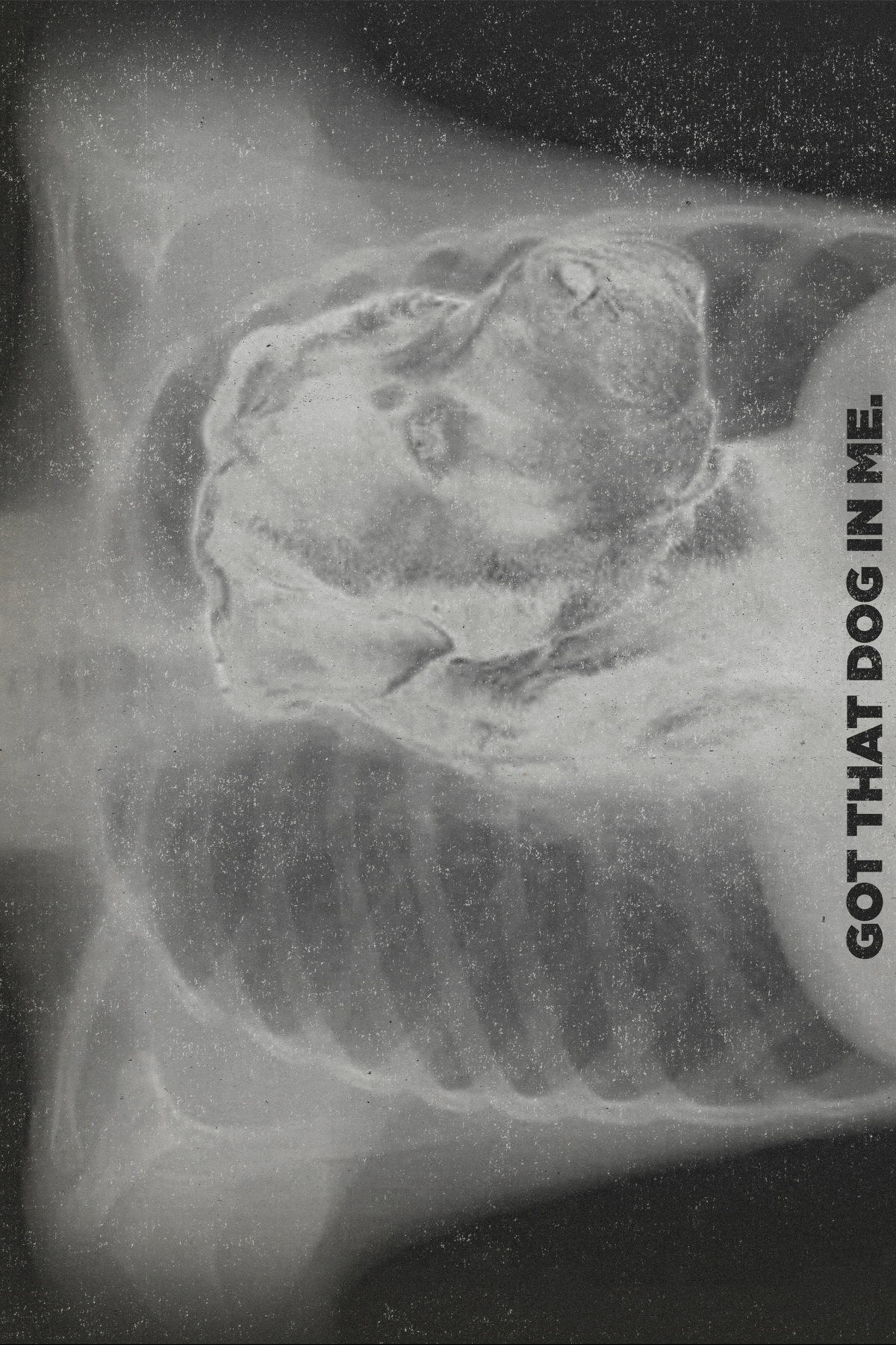 Got That Dog In Me Poster
