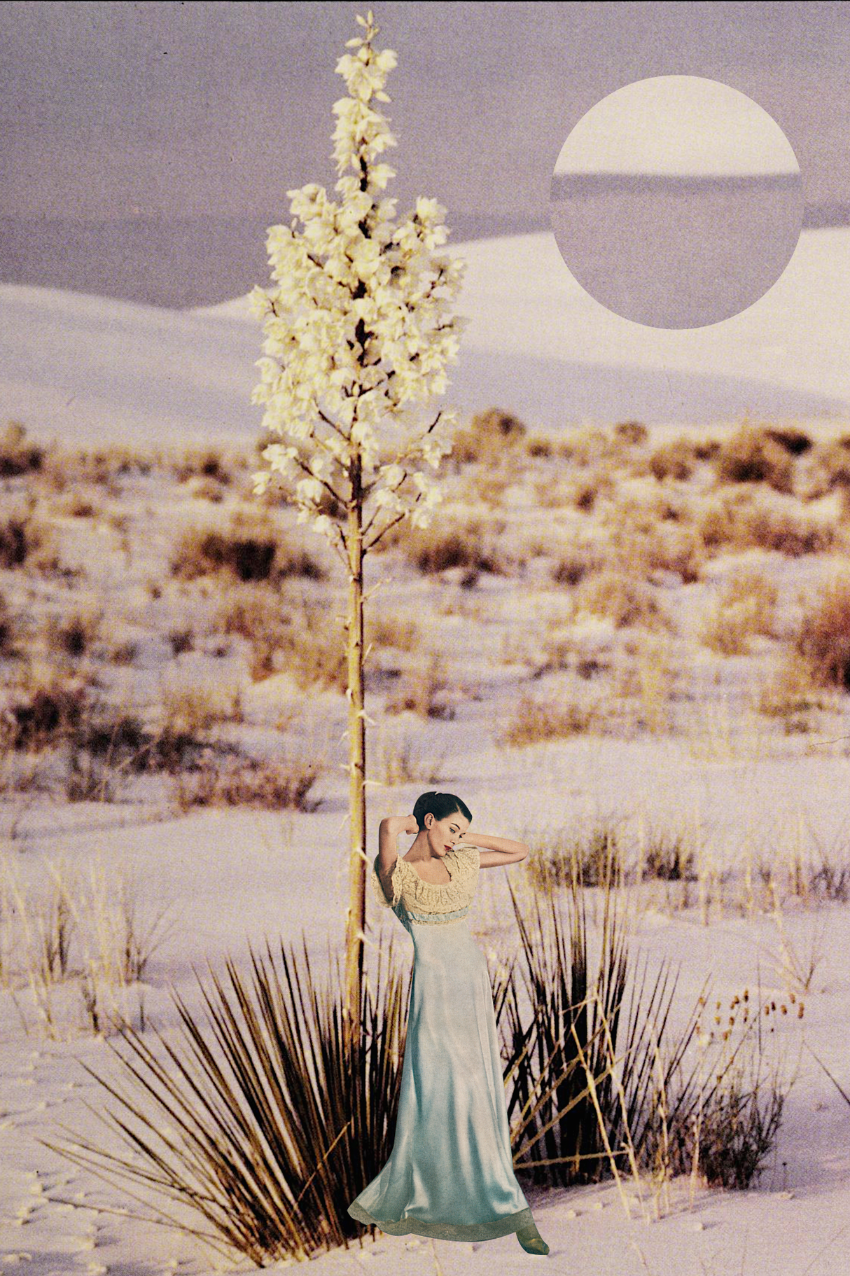 Shrubbery' Collage Poster