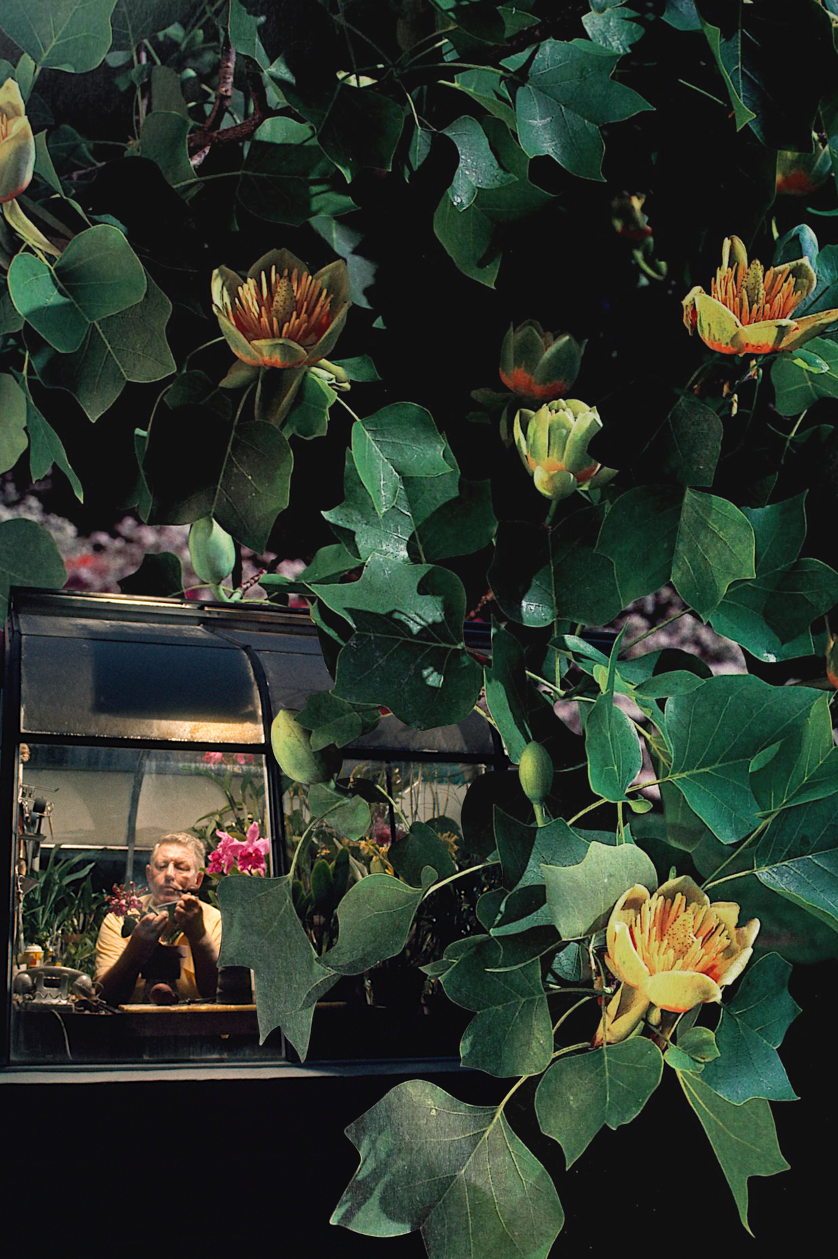 Greenhouse' Collage Poster