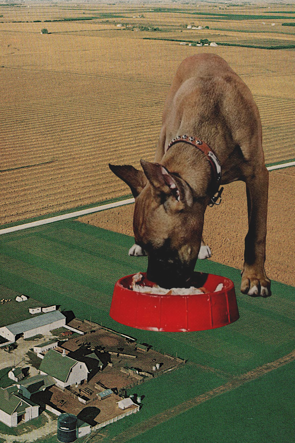 Guard Dog' Collage Poster