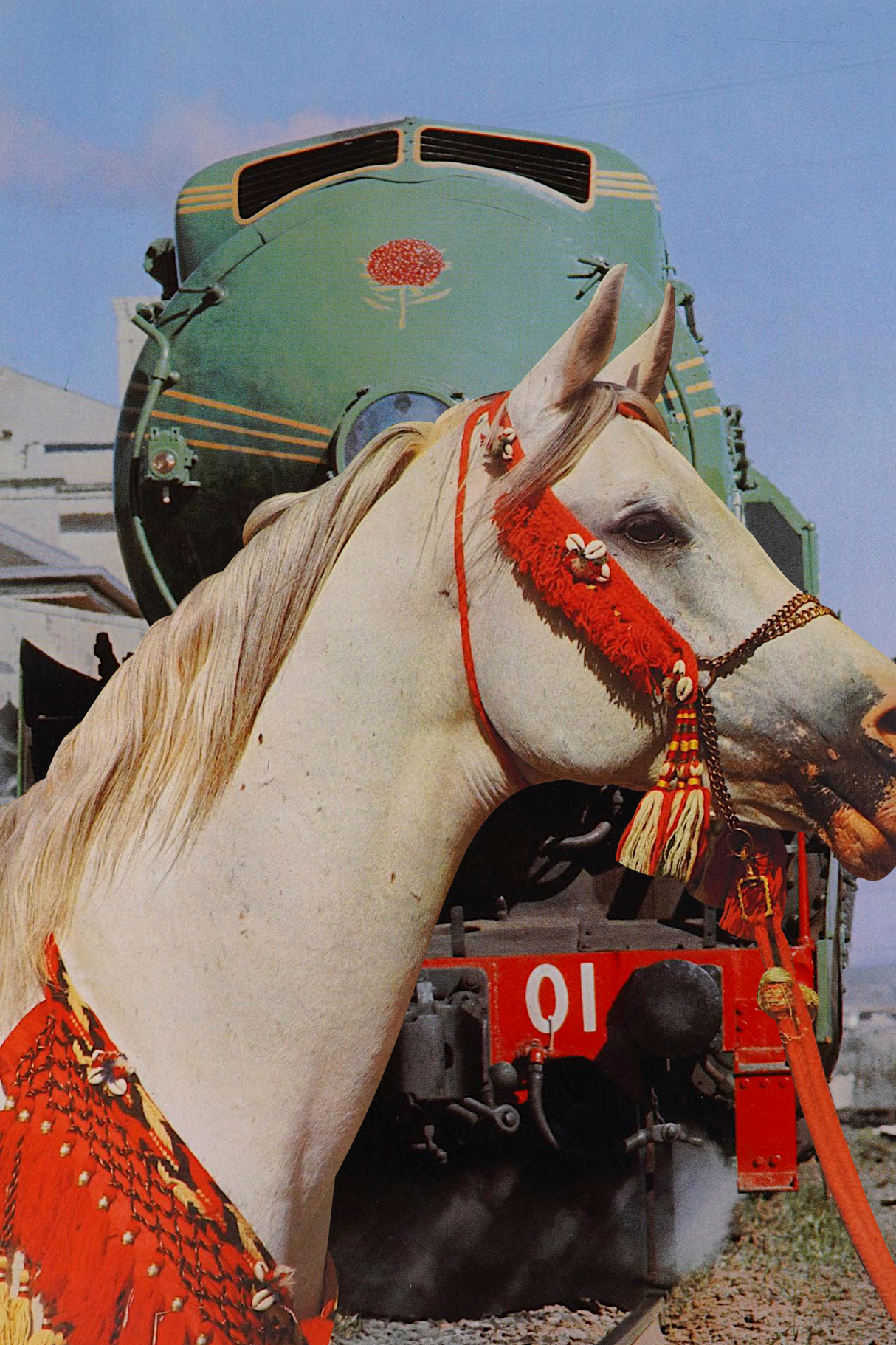 Horse Train' Collage Poster