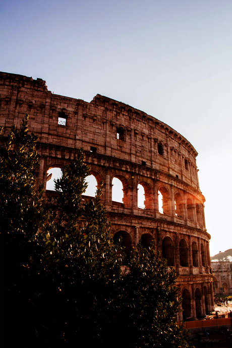 Rome 'Colosseum' Poster