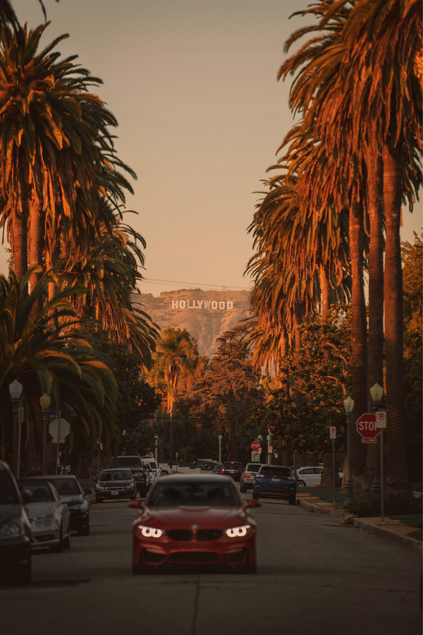 Hollywood Sunsets Poster