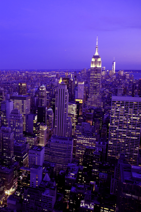 NYC 'Purple Nights' Poster