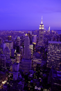 NYC 'Purple Nights' Poster