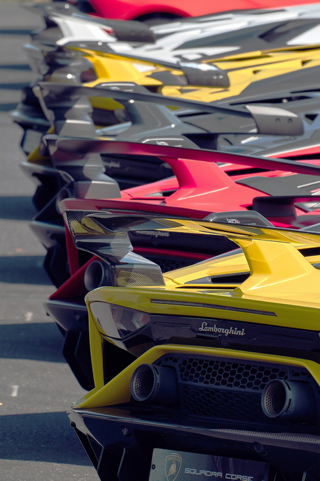 Lamborghini 'Lined Up'  Poster