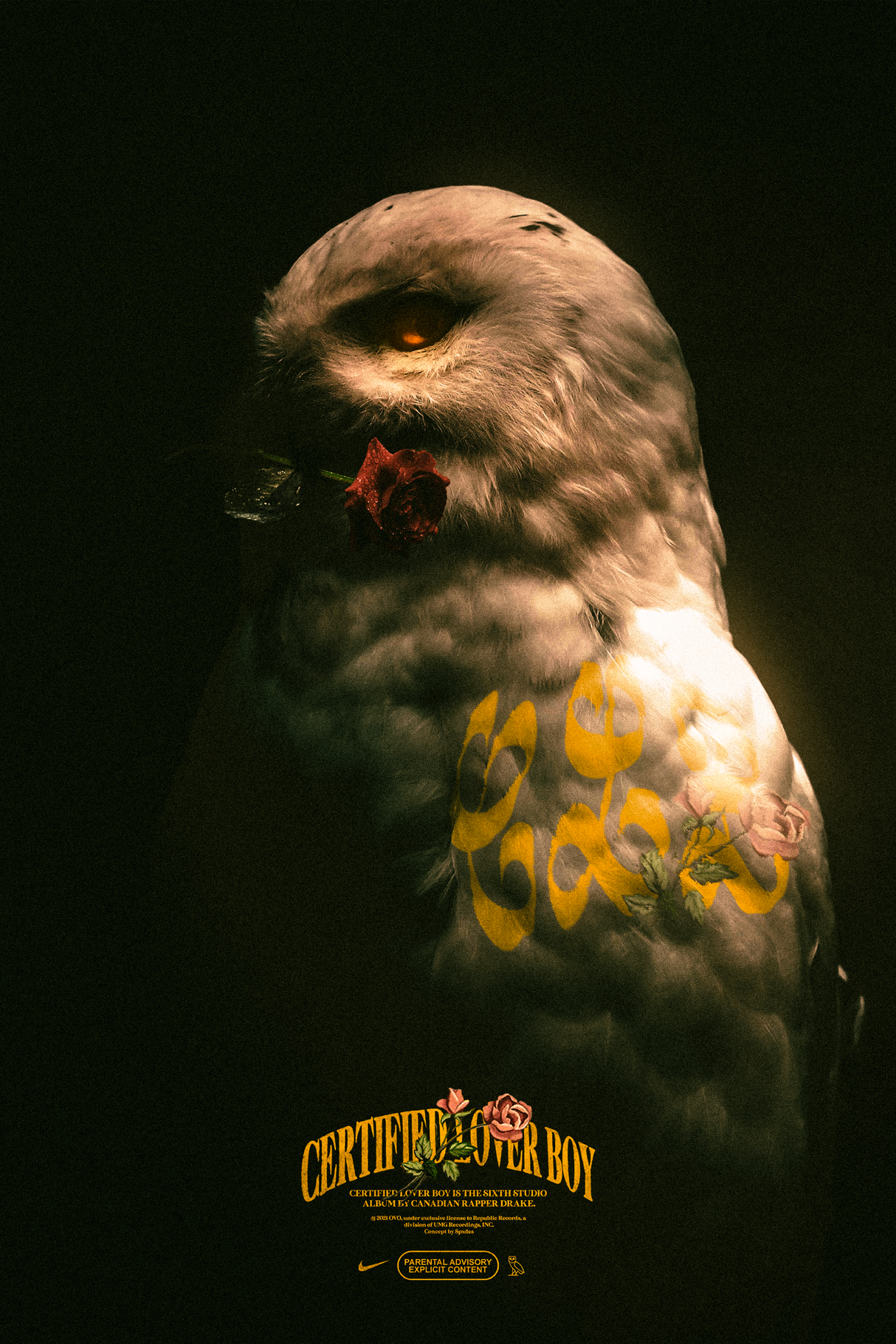 Drake 'CLB Owl' Poster