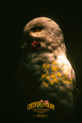 Drake 'CLB Owl' Poster