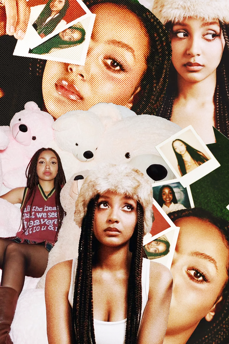 PinkPantheress 'Collage' Poster