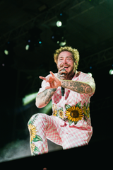 Post Malone 'Sunflower Suit' Poster