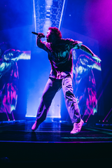 Post Malone 'Stage Presence' Poster