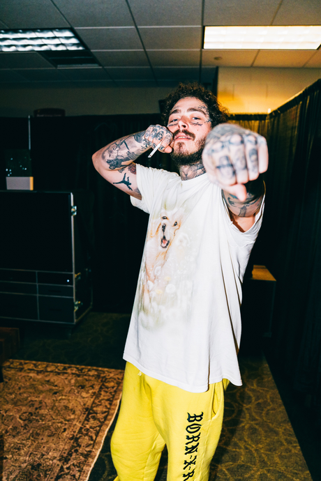 Post Malone 'Throwing Punches' Poster