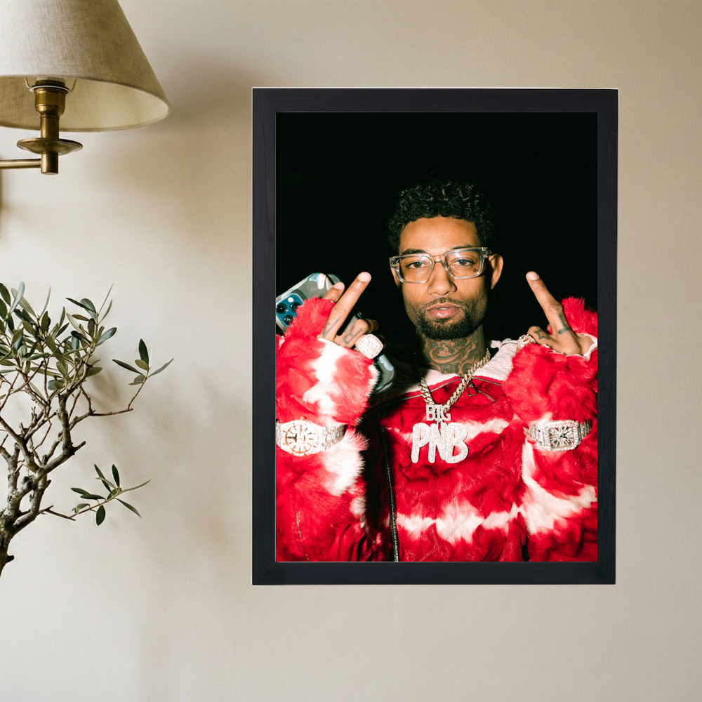 PnB Rock 'Furrr' Poster - Mockup 2