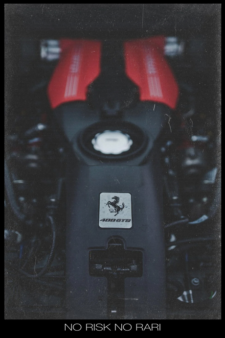 No Risk, No Rari Poster V2