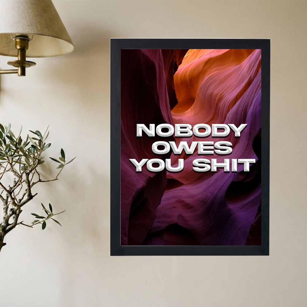 Nobody Owe's You Shit' Poster V5 - Mockup 2