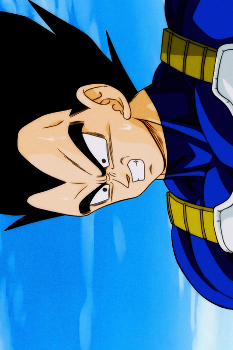 Dragon Ball Z x Vegeta 'Defeated' Poster