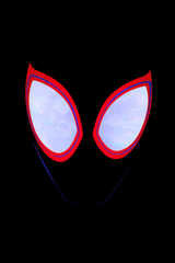 Spider-Man 'Spider Verse' Poster