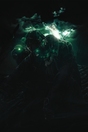 Travis Scott 'Green Eyez' Poster
