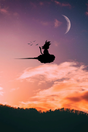 Goku 'Nimbus Cloud Red Sky' Poster - Mockup 1