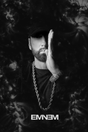 Eminem 'Hand To The Face' Poster - Mockup 1