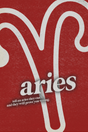 Aries Poster