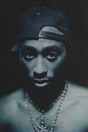 The Tupac Shakur Poster
