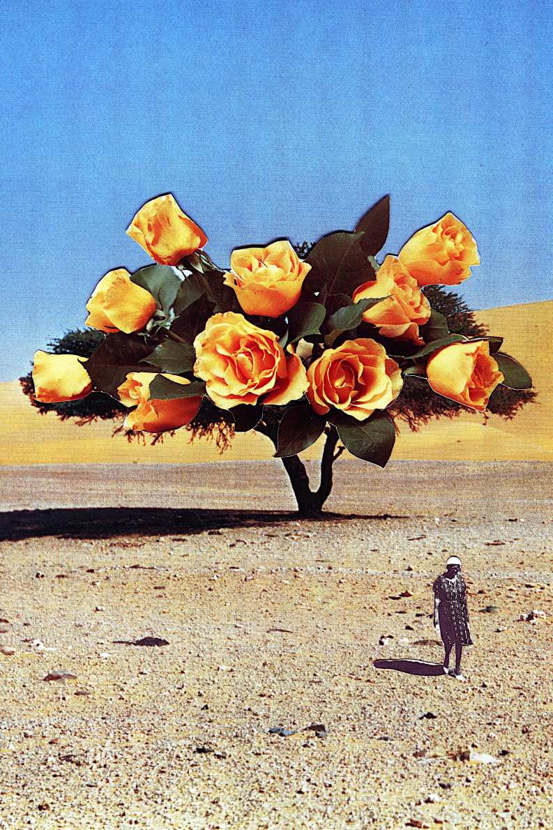 Deserted Roses' Collage Poster