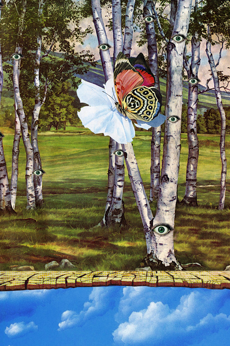 Trees Have Eyes' Collage Poster