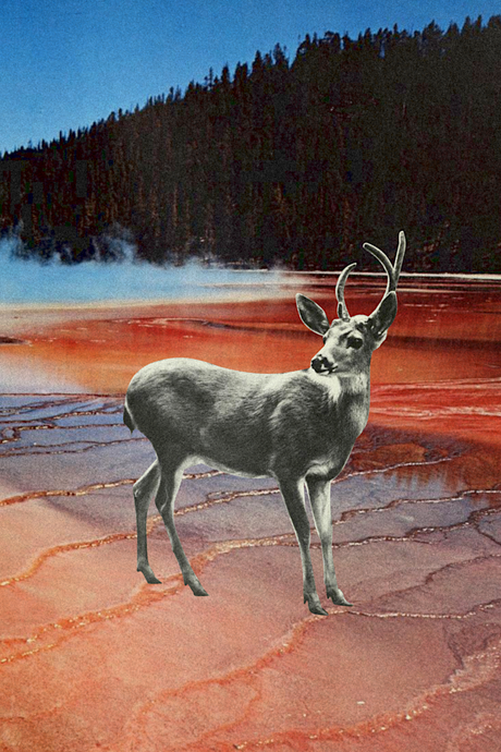 Lava Deer' Collage Poster