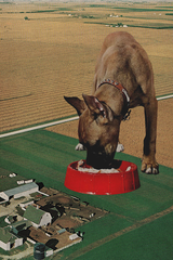 Guard Dog' Collage Poster