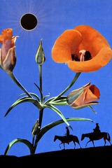 Expedition' Collage Poster