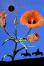 Expedition' Collage Poster