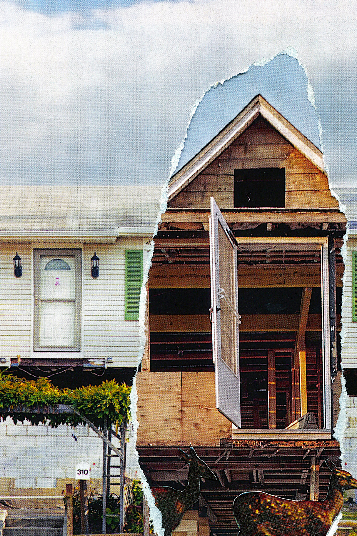 Housing' Collage Poster