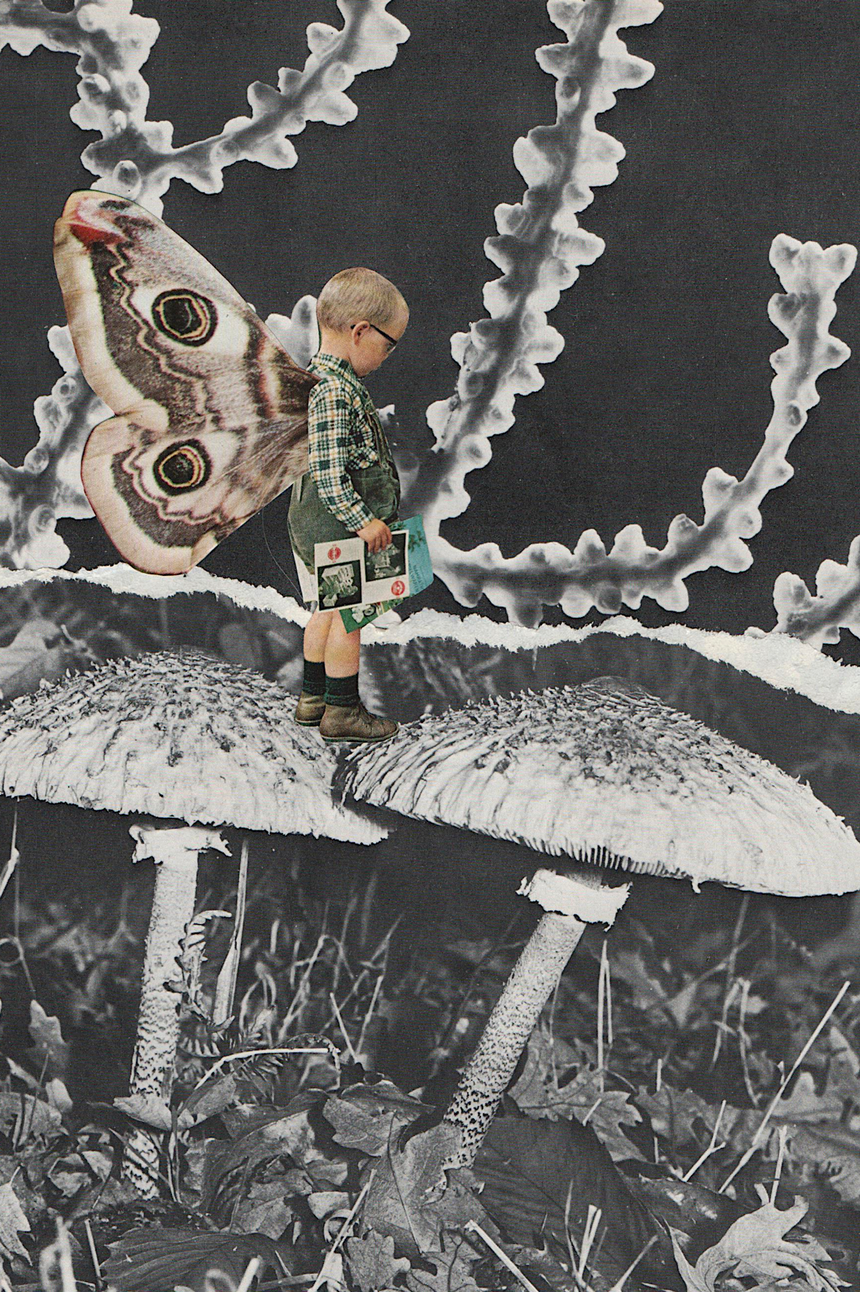 Kid Butterfly' Collage Poster