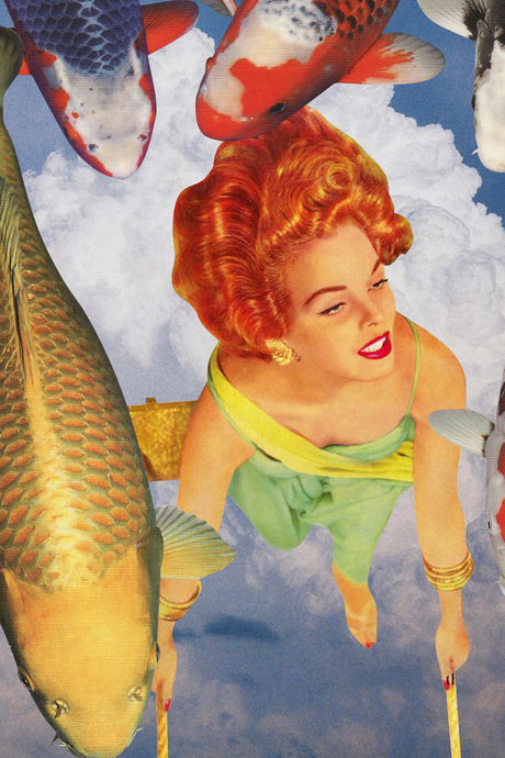Koi' Collage Poster