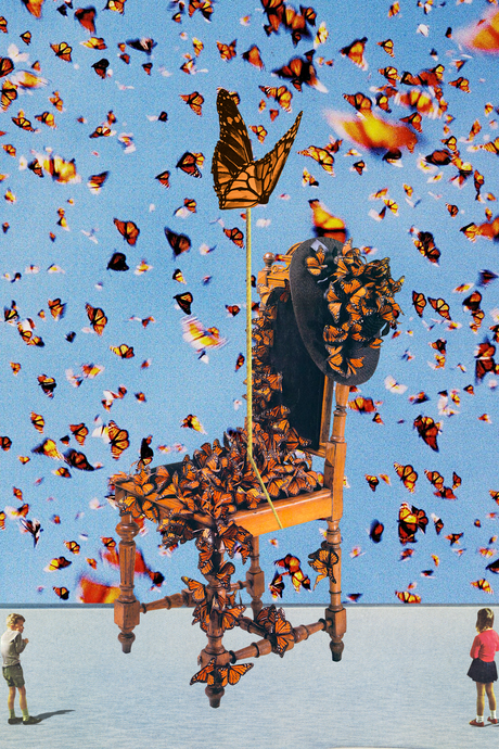 Butterflies' Collage Poster