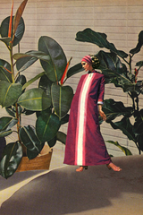 Sand & Rubber Plants' Collage Poster