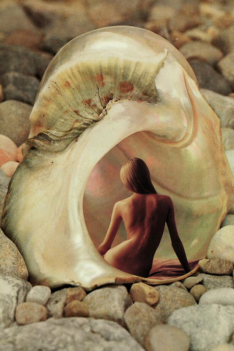 Sea Shell' Collage Poster