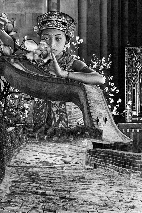 You May Not' Collage Poster