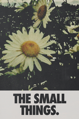 The Small Things.' Poster