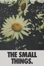 The Small Things.' Poster