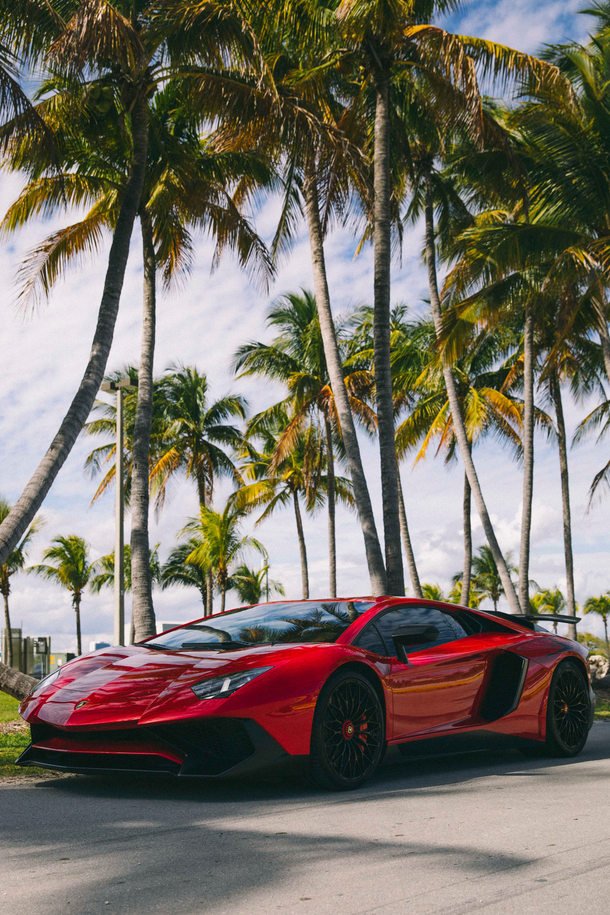 Lamborghini Aventador 'Palm Set' Poster