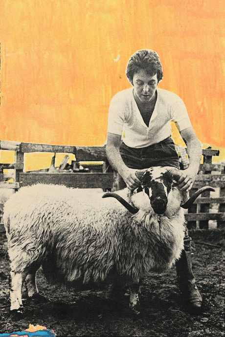 Paul McCartney 'Ram' Poster
