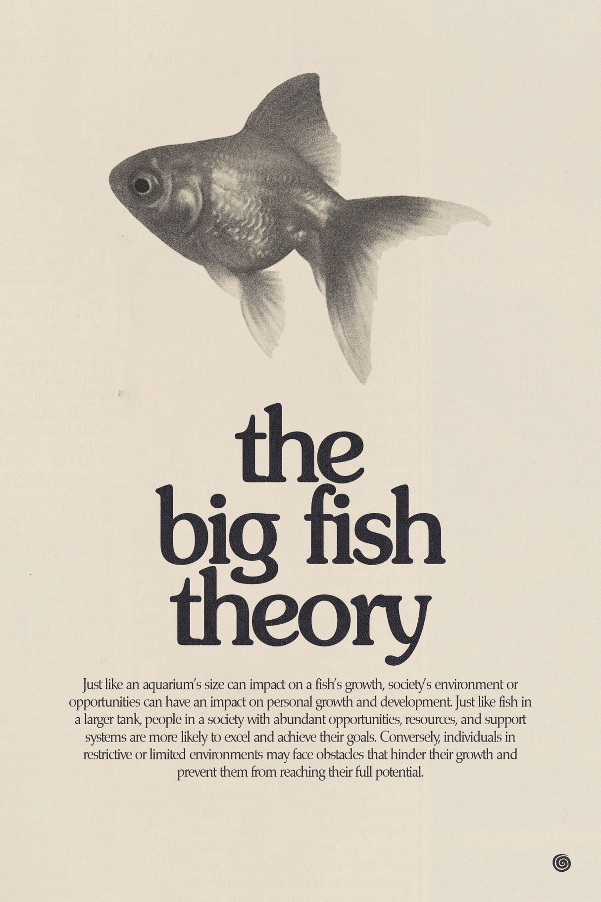 Big Fish Theory Poster