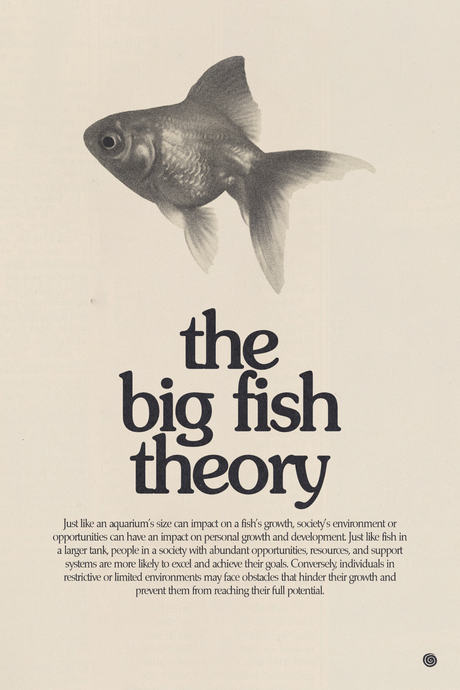 Big Fish Theory Poster