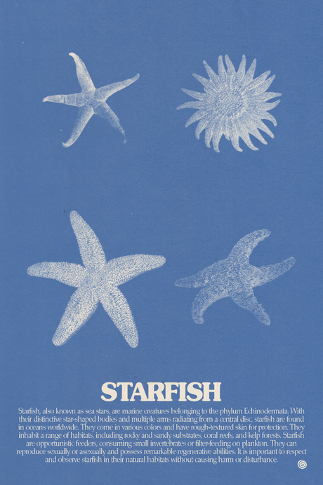 Starfish Poster V2